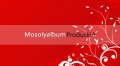 Mosolyalbum Produkció budapesti esküvői videós